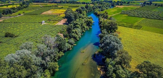 Ο θησαυρός των ψαριών κάτω από το νερό